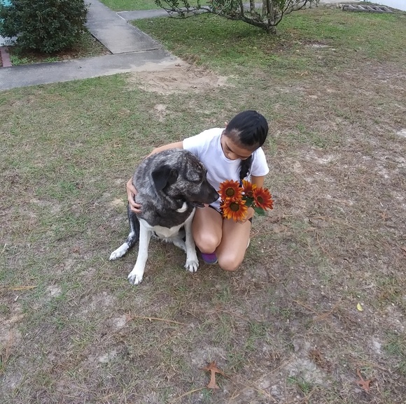 Meet your Posher, Eve - Picture 1 of 1